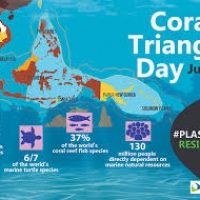 Jun 9: The Coral Triangle Day