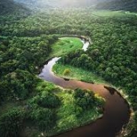 Amazon Rainforest hits Deforestation