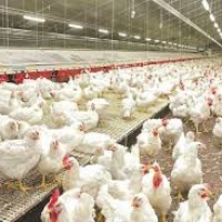 J&K launched Poultry Policy 2020