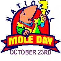 Mole Day –October 23