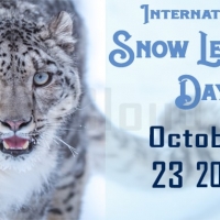 International Snow Leopard Day- October 23