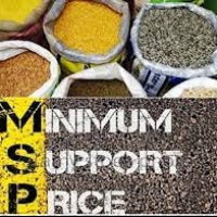 MINIMUM SUPPORT PRICE (MSP)
