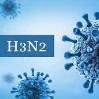 H3N2 இன்ஃப்ளூயன்ஸா